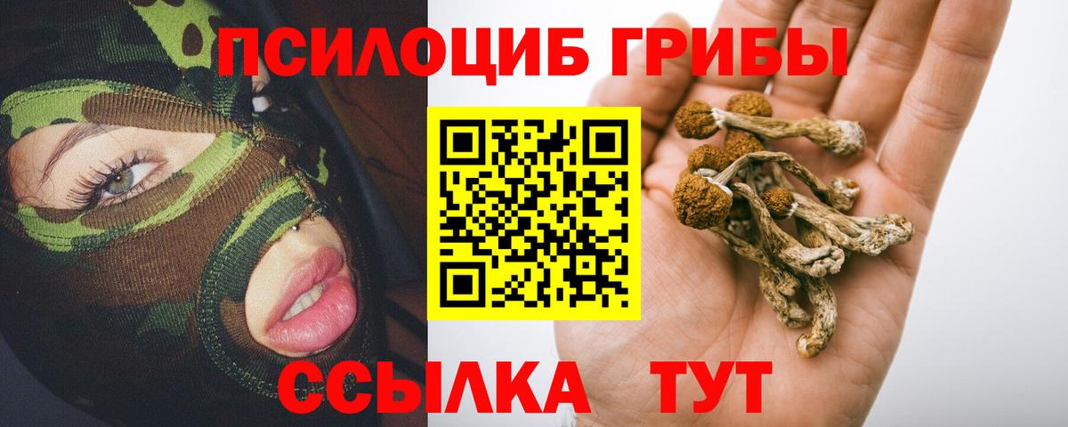 Асино  Галлюциногенные грибы GOLDEN TEACHER  Вход с VPN 