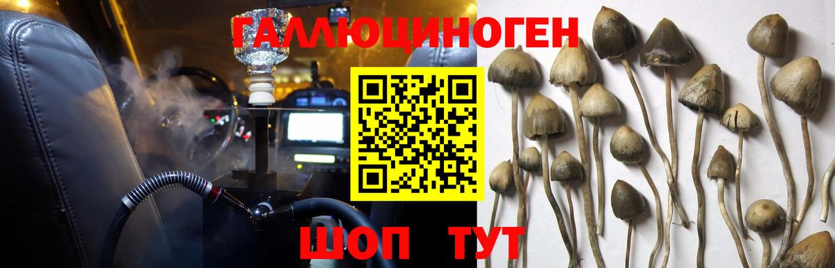 Галлюциногенные грибы прущие грибы Асино